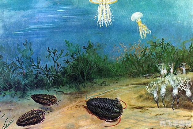 珊瑚版QQ手游深度玩法与攻略指南