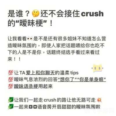 揭秘网络热梗crush与手游攻略的奇妙交融