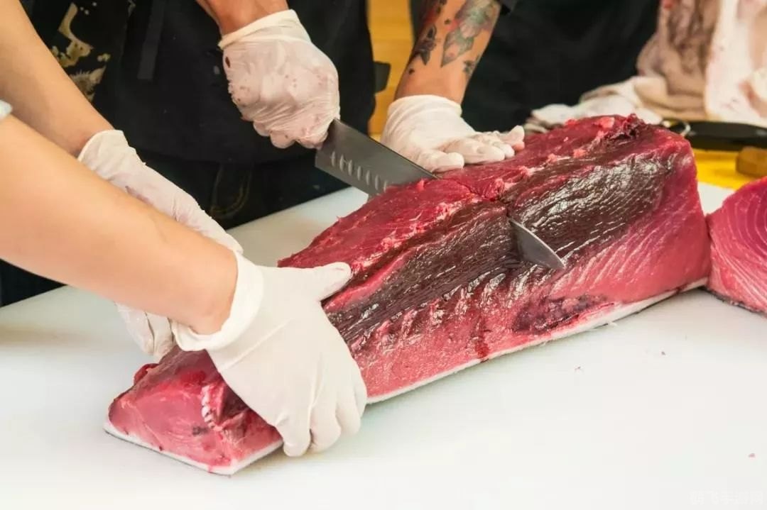 热血鱼是鳕鱼还是金枪鱼,热血鱼揭秘,鳕鱼与金枪鱼,谁更胜一筹?