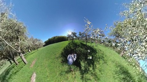 苹果360,探索果园中的奇幻冒险