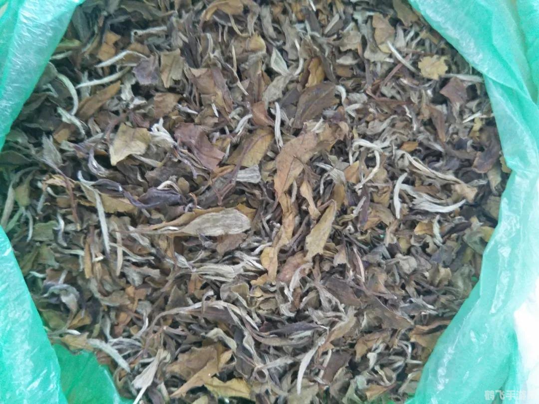 赣教云线上教学引领教育新风尚，线上游戏化教学攻略