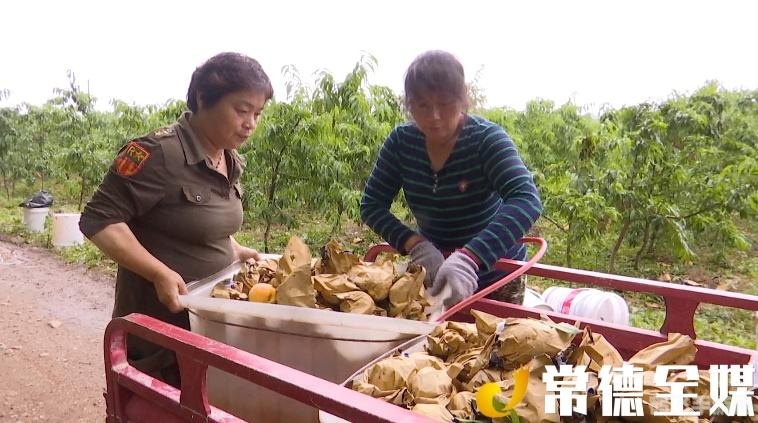 产品推广软件,游戏玩家的新宠,助力你的游戏飞跃人气巅峰!