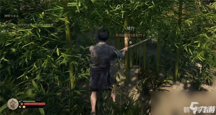 竹子手游攻略，探索竹子的多元玩法与秘密