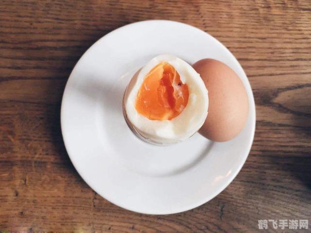 泉水煮蛋怎么做,泉水煮蛋,游戏中的新奇烹饪法