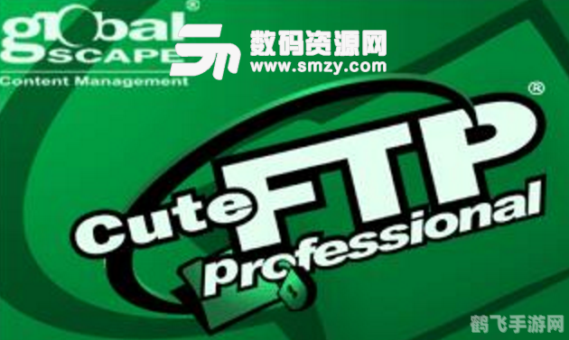 cuteftp 注册码,CuteFTP软件介绍