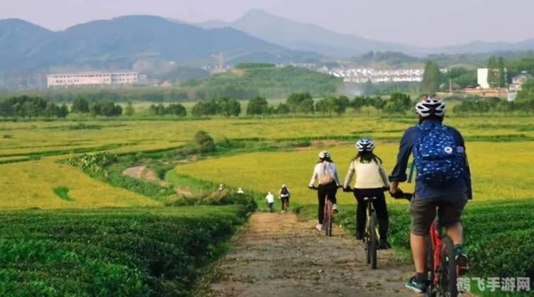 QQ巧遇卡,邂逅你的游戏伙伴