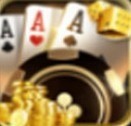 176棋牌app官方版
