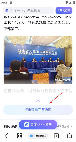 Rains浏览器最新版