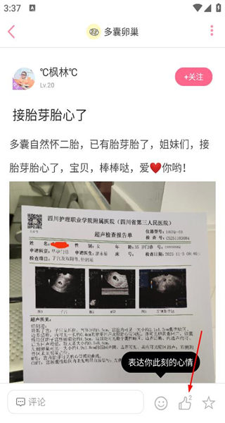 疯狂造人备孕怀孕